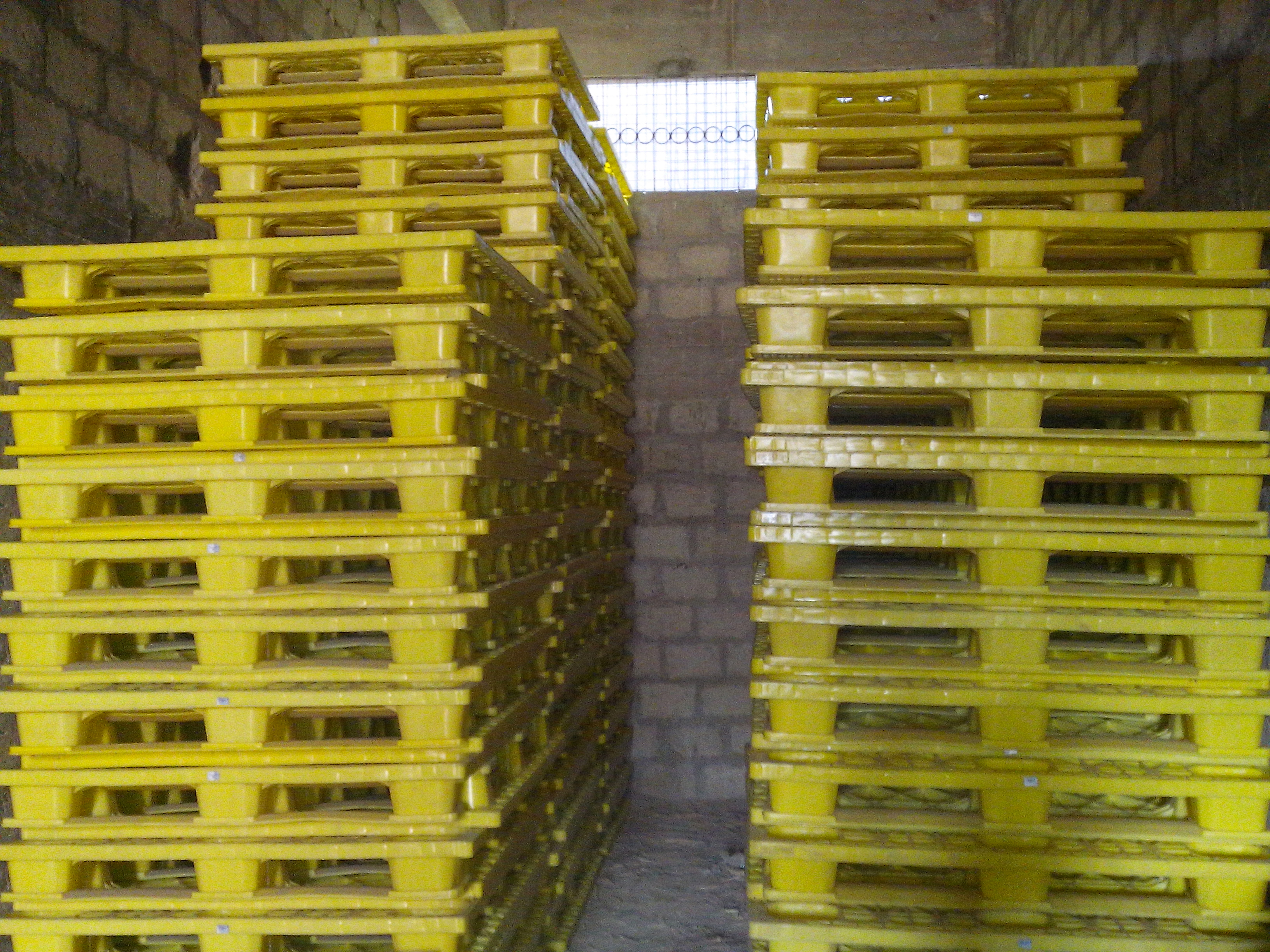 IMG_20140830_164633-copy